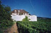 Domaine Lamy Pillot Montrachet